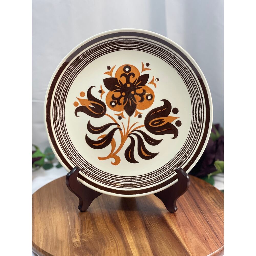 Vintage Starfire American Contemporary Ironstone 10" Plate